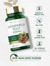 Carlyle Sarsaparilla Root Capsules, 120 Count, 1000mg, Non-GMO, Gluten-Free Supplement