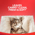Resolve Steam Carpet Cleaner Solution Shampoo, 60 fl oz, 2X Concentrate, Safe for Bissell, Hoover & Rug Doctor