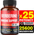 Premium Berberine Supplement | 60 Capsules | Supports Immune System, Cardiovascular & Gastrointestinal Health
