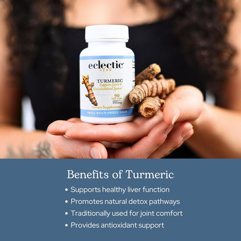 ECLECTIC INSTITUTE Raw Freeze-Dried Turmeric, 90 CT (395 mg), US Grown, Vegetarian, Non-GMO