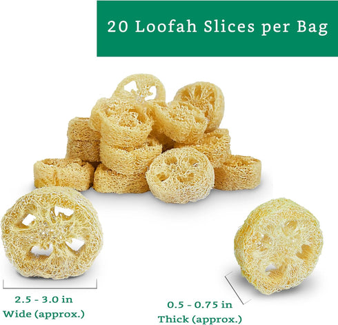 Natural Loofah Slices for Soap Making, 20 Pack, Organic Loufa Cuts, Bulk Luffa Supplies