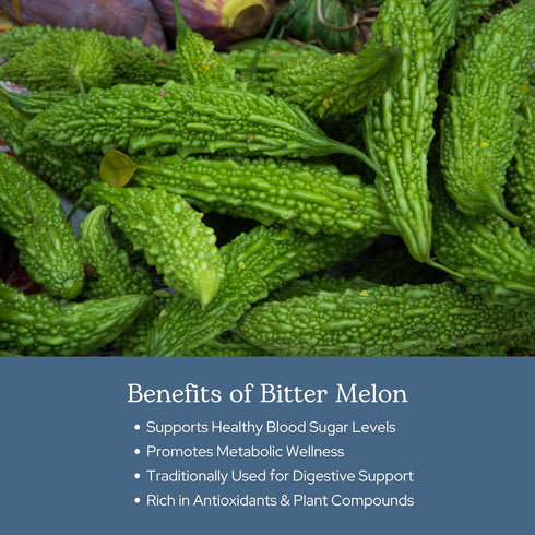 ECLECTIC INSTITUTE Raw Fresh Freeze-Dried Non-GMO Bitter Melon, 90 CT (200 mg)