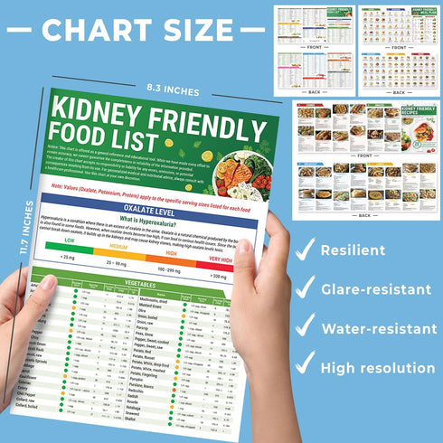 Set 3 HAMIEW Kidney Friendly Food List Chart, Renal Diet Disease Meal Plan, Kidney Recipes Support, Hyperoxaluria