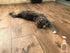 HOWARD Products Wood-N-Floors Hardwood Floor Cleaner for Hardwood, Laminate, and Engineered Surfaces, Wood Floor