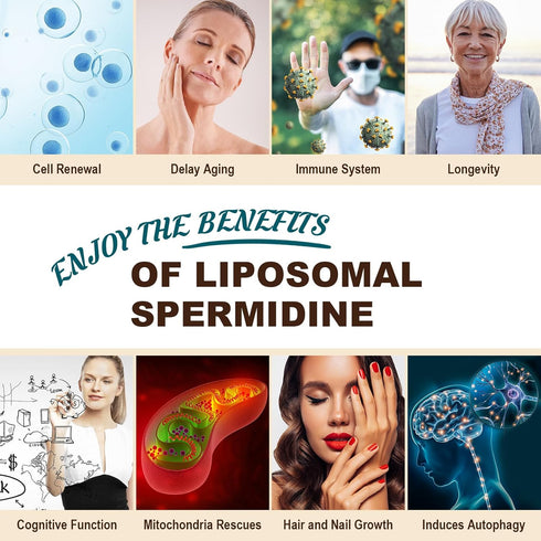 Spermidine Supplement 15 MG, 99% Purity, 120 Softgels for Cellular Renewal, Aging Defense, Energy