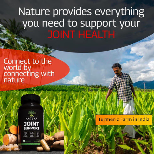 Joint Support Supplement with Turmeric Extract, Tamarind Seeds Extract, Boswellia Extract, 30-Day Supply for Joint