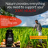 Joint Support Supplement with Turmeric Extract, Tamarind Seeds Extract, Boswellia Extract, 30-Day Supply for Joint