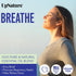 UpNature Breathe Essential Oil Blend - Essential Oils for Diffusers for Home and Humidifiers - Aromatherapy Oils for Breathing Comfort, 2oz