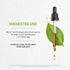 Horsetail Horsetail (Equisetum 4 OZ Secrets of the Tribe Tincture Alcohol-Free Extract, arvense) Dried Herb