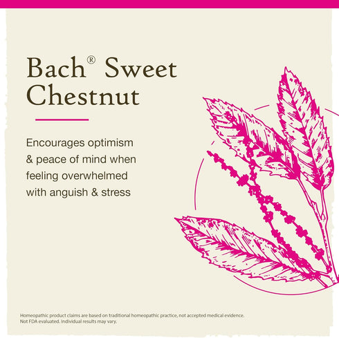 Bach Original Flower Remedies, Sweet Chestnut for Optimism (Non-Alcohol Formula), Natural Homeopathic Flower Essence, Holistic Wellness and Stress Relief, Vegan, 10mL Dropper