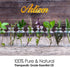 Artizen Robbers Blend Essential Oil, Pure & Natural Therapeutic Grade for Aromatherapy