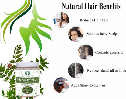 Neem Leaf Powder 100 Gm - Azadirachta Indica, Wild Crafted Neem Leaf Powder, Very Bitter Supplement for Skin Hair and