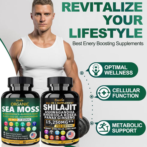 Sea Moss and Shilajit Bundle, 60 Count with Sea Moss, Black Seed Oil, Ashwagandha, Ginger & Shilajit, 2 Pack