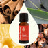 Plant Therapy Germ Fighter Essential Oil Blend - 10 mL (1/3 oz) - Pure, Natural Aromatherapy