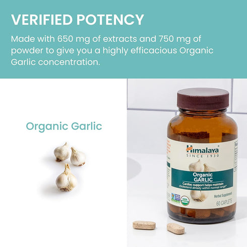 Immune 1400 60 Himalaya Organic Garlic - Herbal Supplement for Lipid Metabolism and Support - Vegan, Non-GMO, Gluten