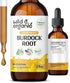 Burdock Root Tincture - Alcohol-Free Digestive Health Supplement w/Burdock Root Extract - 2oz Antioxidant