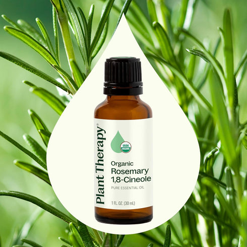 Plant Therapy Organic Rosemary Essential Oil 100% Pure, 30 mL (1 oz), USDA Certified Organic