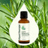 Plant Therapy Organic Rosemary Essential Oil 100% Pure, 30 mL (1 oz), USDA Certified Organic
