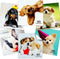 Microfiber Cleaning Cloth for Glasses - Eyeglass Lens Cleaning Cloth for Phone, Screens, Camera Lens (6 pcs)