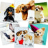 Microfiber Cleaning Cloth for Glasses - Eyeglass Lens Cleaning Cloth for Phone, Screens, Camera Lens (6 pcs)