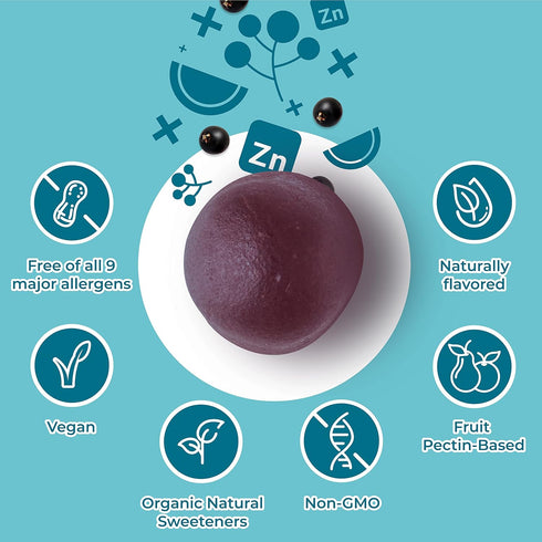Hyland's Naturals Kids Organic Elderberry Plus Gummies | 48 Vegan Gummies | Organic Black Elderberry with ZINC