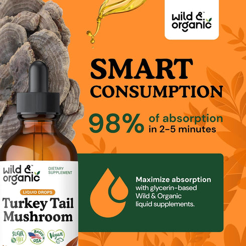 Immune 4 oz Wild & Organic Turkey Tail Mushroom Tincture - Support Drops with Turkey Tail Extract - Liquid Mushroom