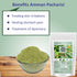 Amman Pacharisi Euphorbia Hirta Powder, 300 GM (10.58 OZ) Pack of 1