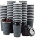 SPRINGPACK Disposable Coffee Cups with Lids and Straws - 16 oz (90 Set)