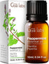 Set Set 2x0.34 oz Chamomile Oil for Skin & Peppermint Oil for Diffuser - Aromatherapy Grade Essential Oils - fl - Gya