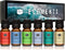 P&J Trading Fragrance Oil Elements Set | Candle Scents for Campfire, Night Air, Ocean Breeze, Dirt, Rain, Fresh Cut