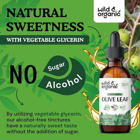Olive Leaf Extract Liquid - Antioxidants Supplement with Organic Olive Leaf - Vegan Olive Leaf Supplement - 2 oz