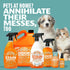 ANGRY ORANGE All-Purpose Cleaner Spray, Multipurpose for Kitchen and Bathroom, 24 Fl. Oz - Pack of 2 Bottles