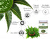 Neem Leaf Powder 100 Gm - Azadirachta Indica, Wild Crafted Neem Leaf Powder, Very Bitter Supplement for Skin Hair and