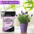 Aromasong Natural Carpet Deodorizer - Lavender Scent Upholstery & Carpet Freshener Powder for Homes with Pets