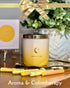 Pet Odor Candle | Grapefruit & Musk w/Gold Moon & Stars Symbol | Pleasant Yellow Candle for Pet Odor Eliminator, Soy