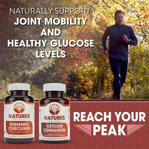 Natures Wellness Organic Ceylon Cinnamon - 1200 mg Antioxidant for Joint Health and Mobility - Non-GMO, 60 Veg Capsules