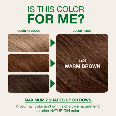 Naturigin Permanent Hair Color, 5.3 Warm Brown, Ammonia Free, 100% Gray Coverage, Vegan, 1 Pack