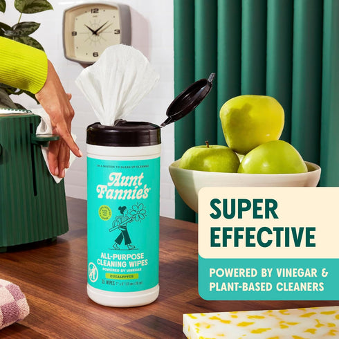 Set Aunt Fannie's Eucalyptus All-Purpose Vinegar Cleaning