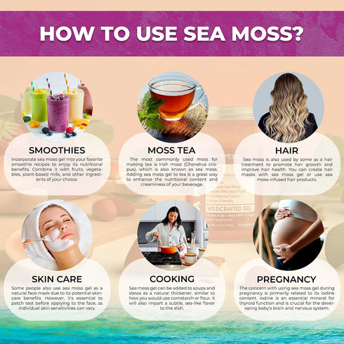 Immune 10 oz. WELLNESS LABSRX Irish Sea Moss Gel Raw - Wildcrafted Superfood Seamoss Gel - Elderberry Flavor, Vitamin