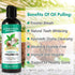 Coconut Mint Oil Pulling, 2 Pack Whitening Mouthwash for Teeth and Gums with Tongue Scraper & Measuring Cup