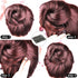 U Shaped Hair Pins, Sevensun 100PCS Ladies Hair Bun HairPin with Storage Box, 2.4 Inches, Black