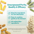 ANDREW LESSMAN Ginkgo 120 Plus Ginseng, 200mg Standardized Extract Blend, 60 Capsules for Brain and Cognitive Function
