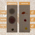 Furniture Clinic Carpet & Upholstery Care Kit - Clean, Protect, and Prevent Stains and Odors