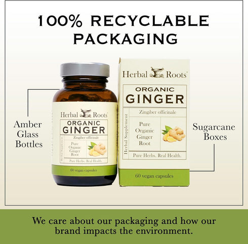 Herbal Roots Ginger Supplement | Organic Ginger Root Capsules | 1,200 mg Pure Ginger Powder per Serving, 60 Vegan