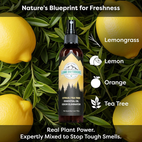Lumi Outdoors Natural Shoe Deodorizer Spray & Odor Eliminator - Essential Oil Fresh Citrus Tea Tree Odor Eater