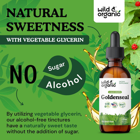 Immune 2 oz Wild & Organic Goldenseal Root Tincture - Lung Cleanse, & Digestive Support - Liquid Goldenseal Supplement
