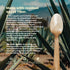 Sustainable Agave Co 24 Count Agave Fiber Spoons, Biodegradable, Plant-Based, Made With Upcycled Materials