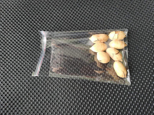 Cellophane Bag 5 x 6.5 inch Clear Resealable Bags, Self Adhesive for Bakery, Favors & Arts & Crafts (100 Pcs)