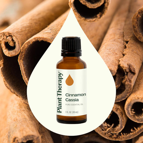 Plant Therapy Cinnamon Cassia Essential Oil 30 mL (1 oz) 100% Pure, Undiluted
