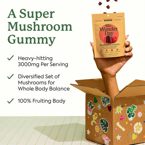 Gummies Immune (60 Count) Plant People WonderDay Mushroom - Lions Mane, Cordyceps, Chaga Mushroom Supplement to Support